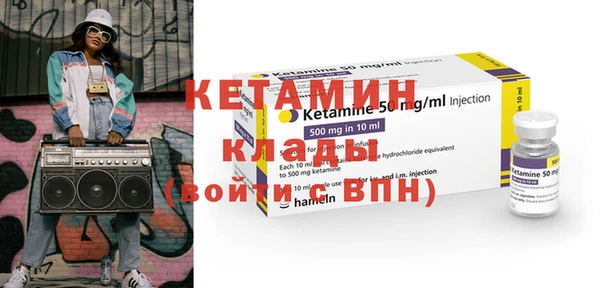 прущие грибы Дмитриев