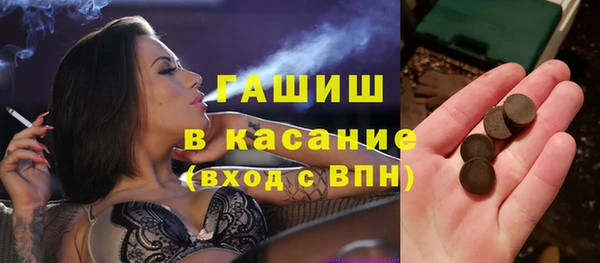 стаф Ельня