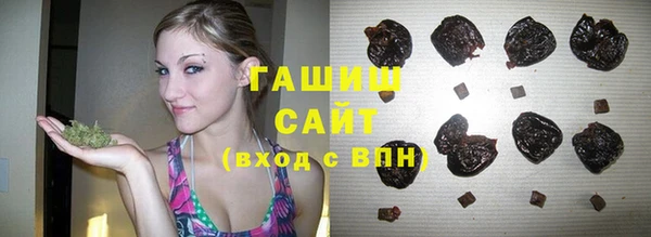 твердый Дмитровск