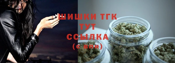 твердый Дмитровск