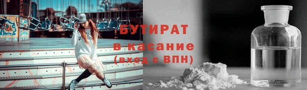 стаф Ельня