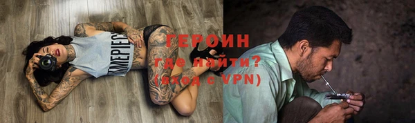 стаф Ельня