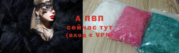 шишки Елизово