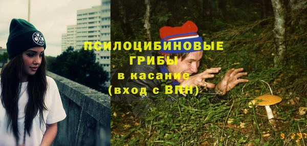 стаф Ельня