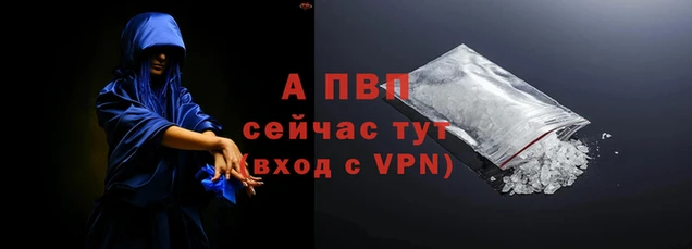 прущие грибы Дмитриев