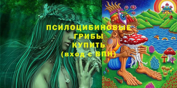 твердый Дмитровск