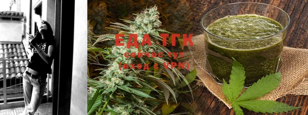 стаф Ельня