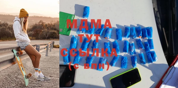 стаф Ельня