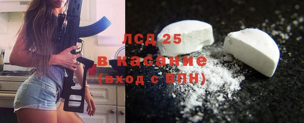 твердый Дмитровск
