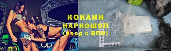 шишки Елизово