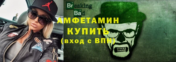 стаф Ельня