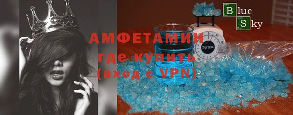 прущие грибы Дмитриев